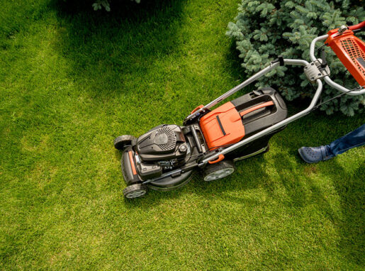 A professional lawnmower cutting grass, creating a neatly trimmed, lush green lawn in Lea Valley.