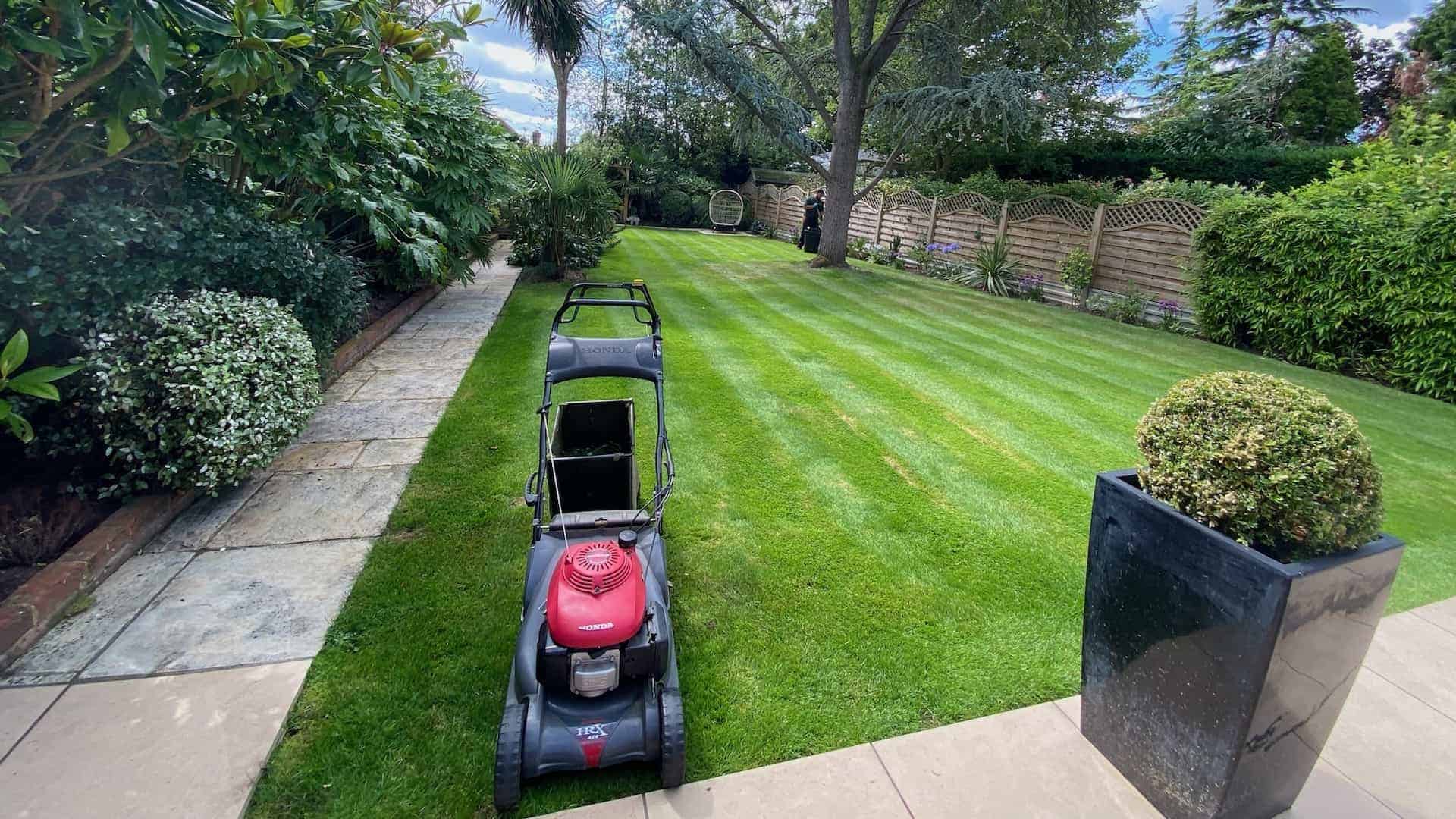 Freshly mowed, lush green lawn in Lea Valley with perfect stripes after professional lawn care service.