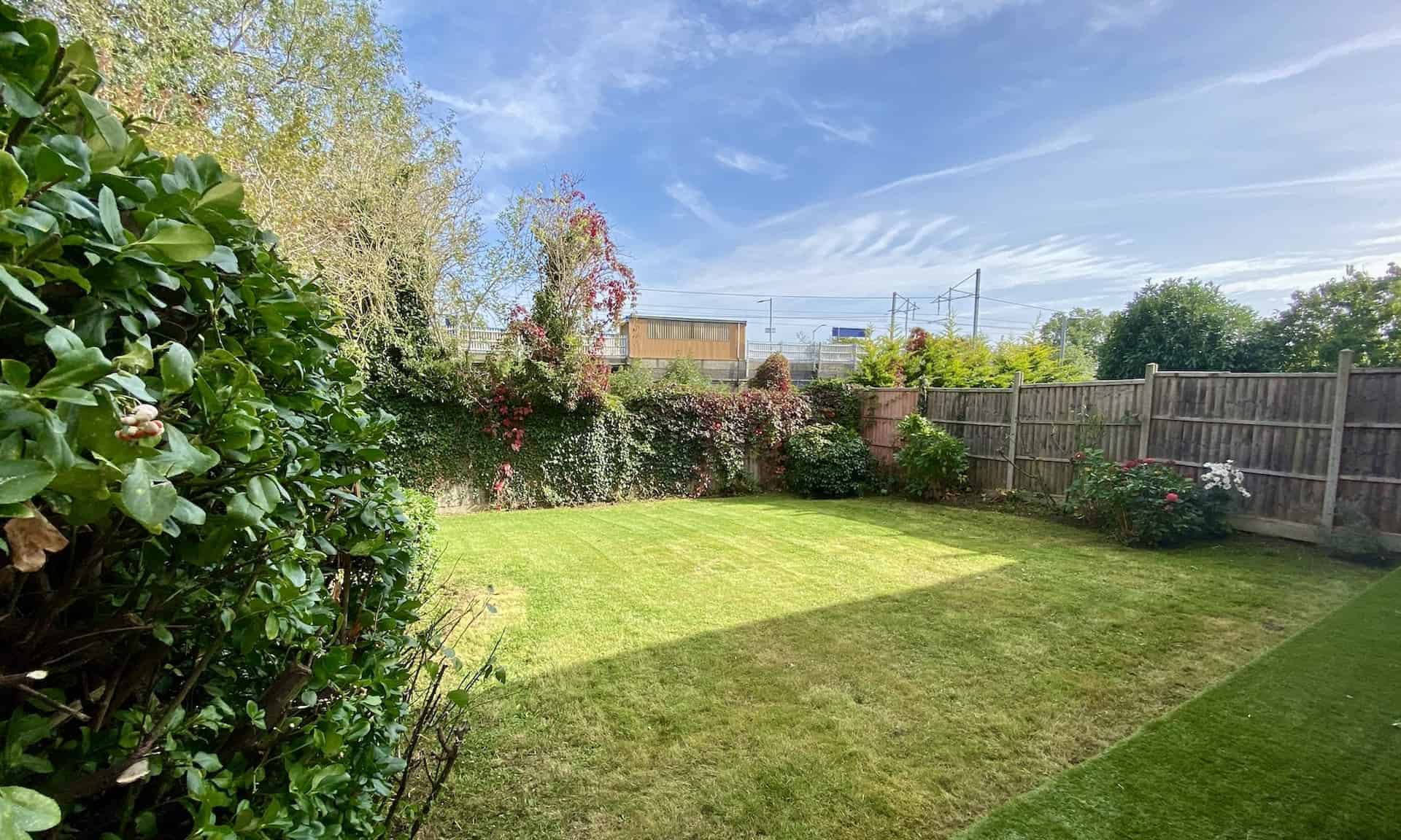 Overgrown garden before and after professional clearance in Lea Valley. Gardeners removing weeds and unwanted vegetation.