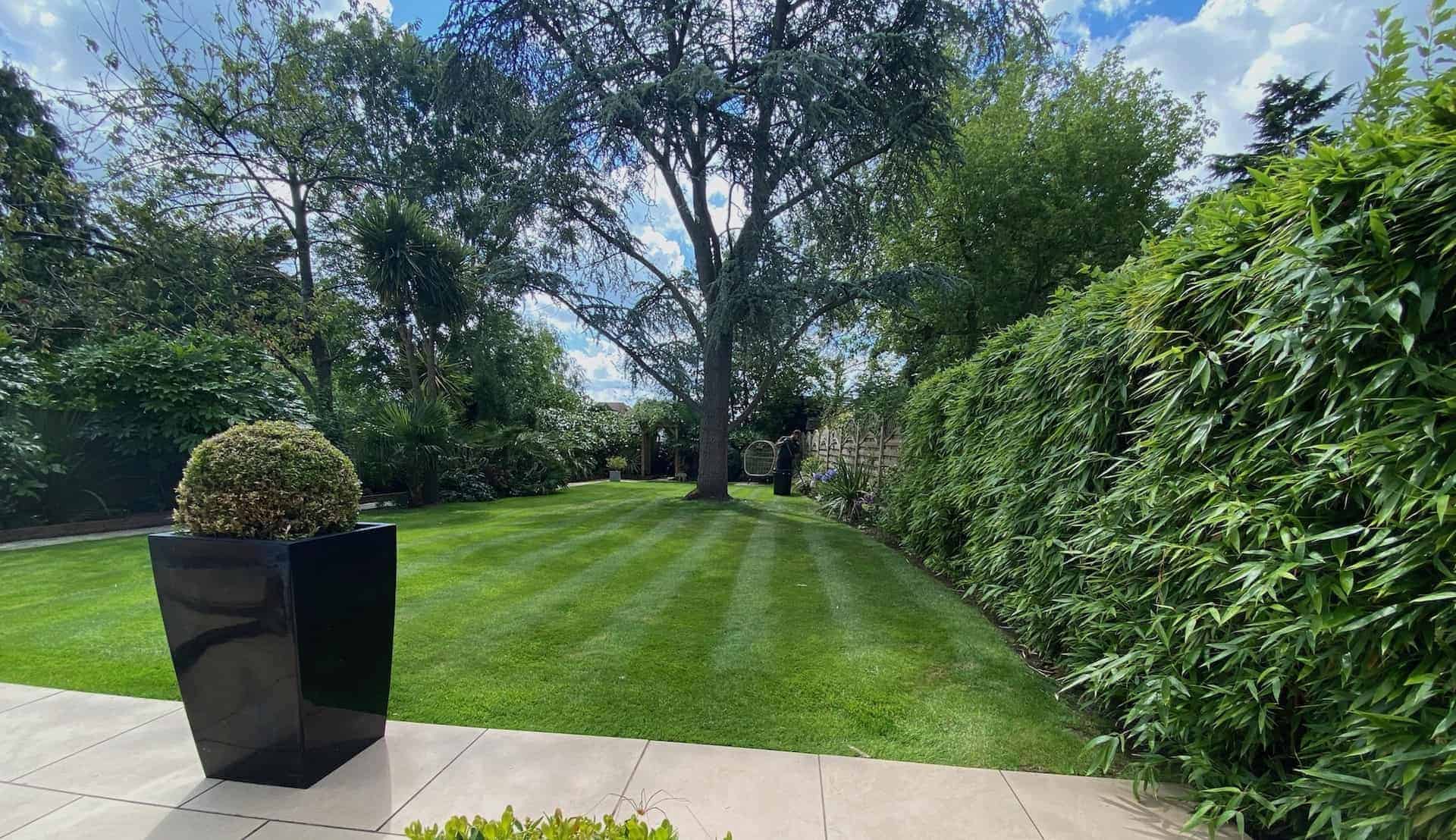 Freshly mowed green lawn in Lea Valley after professional lawn care and mowing service.