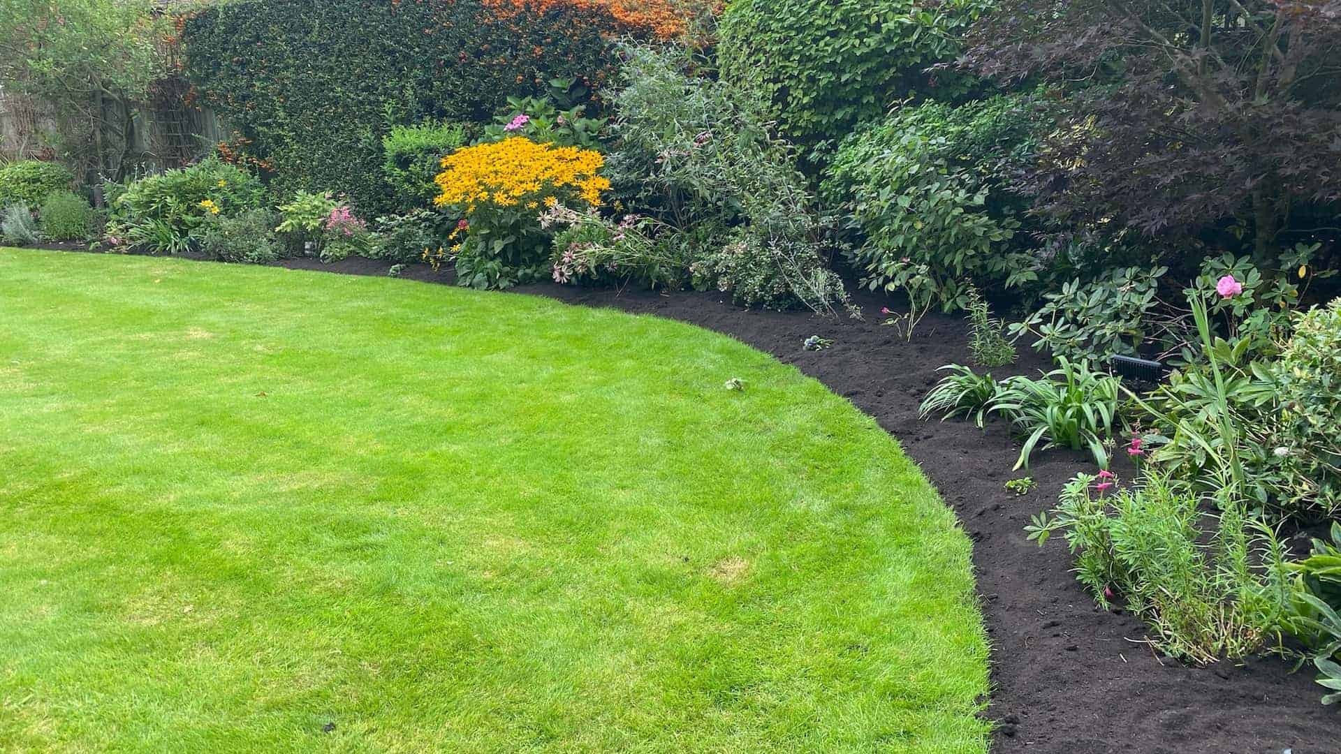 Vibrant flower beds with freshly planted seasonal flowers and shrubs in Lea Valley.