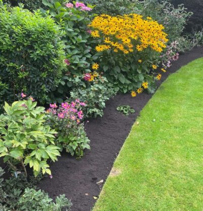 Beautifully planted flower beds with vibrant seasonal plants in Lea Valley, arranged for a stunning garden.