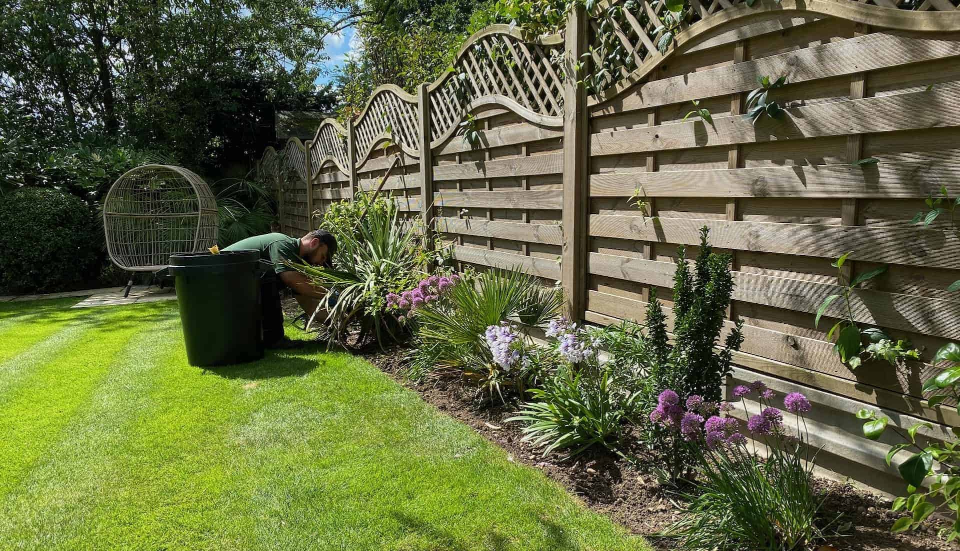 Freshly planted flower beds with vibrant seasonal plants in Lea Valley, professionally arranged for a lush garden.